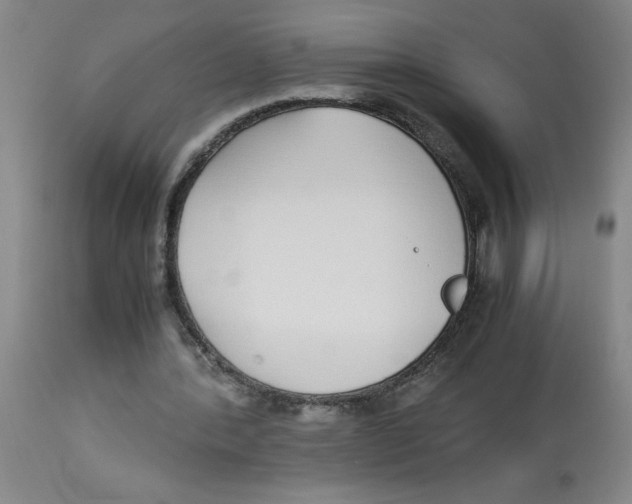 X0000112870388200909181829