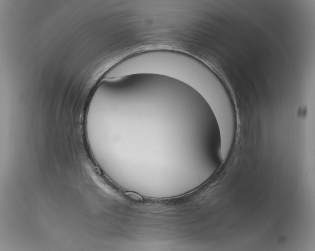 X0000112870389200909181829