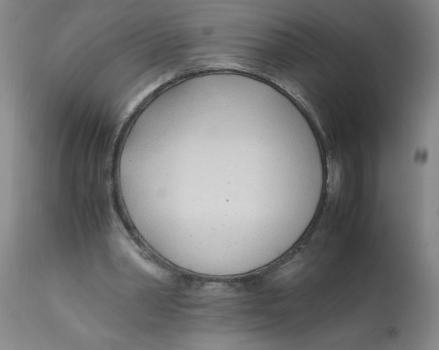 X0000112870390200909181829