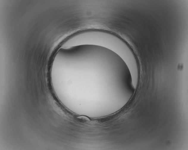 X0000112870391200909181829