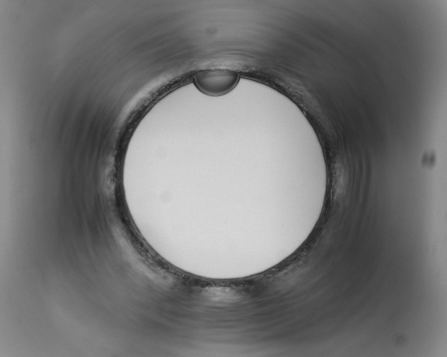 X0000112870392200909181829