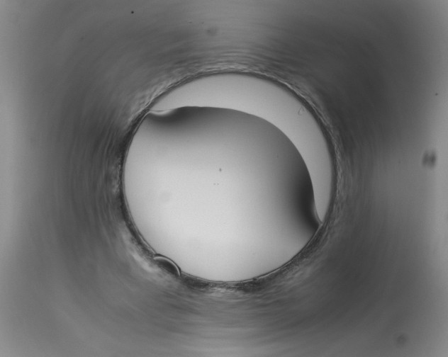 X0000112870393200909181829