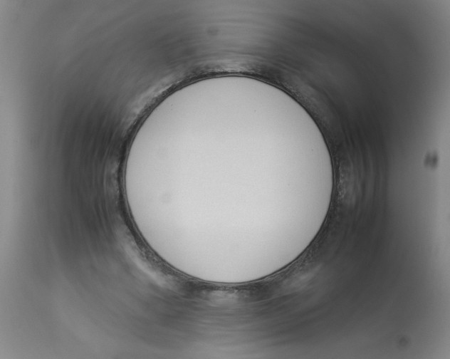 X0000112870394200909181829