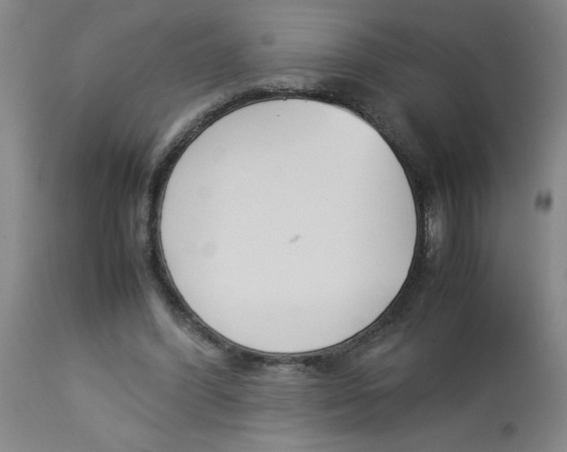 X0000112870396200909181829