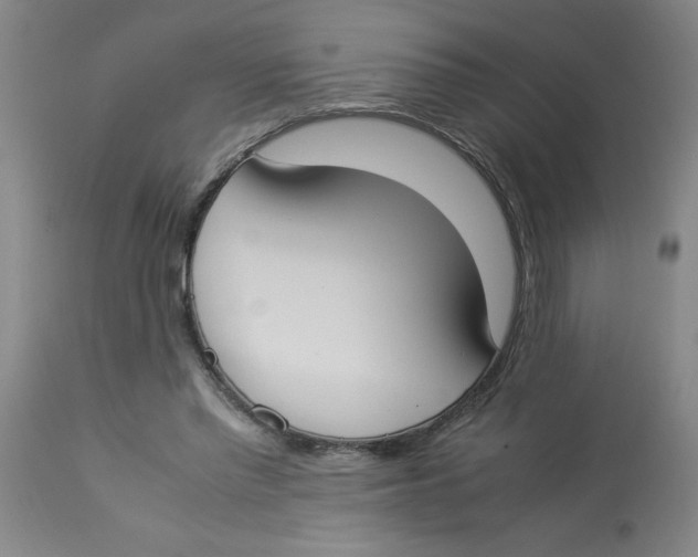 X0000112870397200909181829