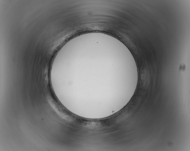 X0000112870398200909181829