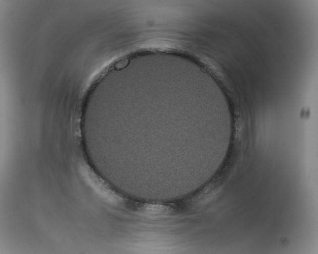 X0000112870399200909181829