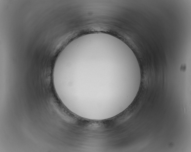 X0000112870402200909181829