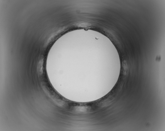 X0000112870404200909181829