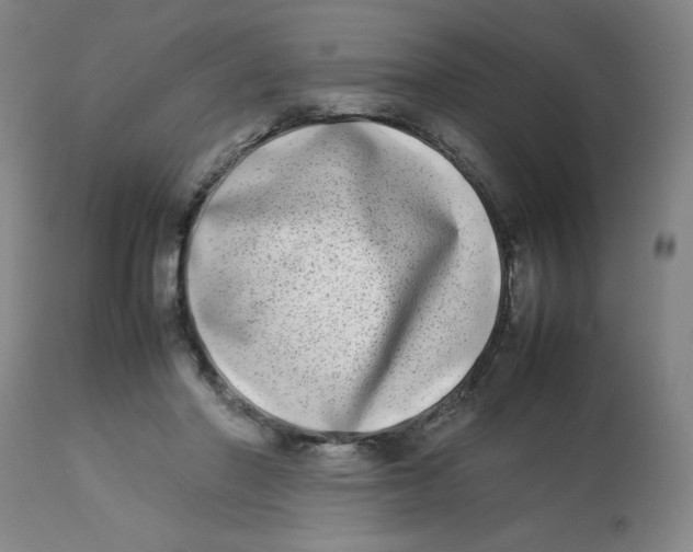 X0000112870406200909181829