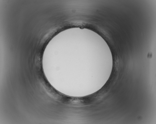 X0000112870407200909181829