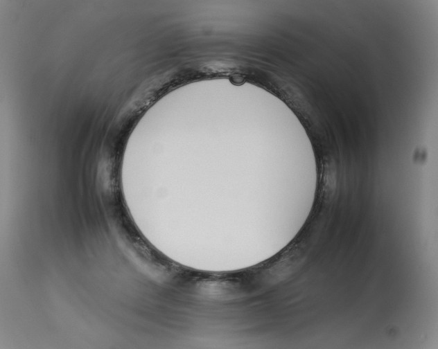 X0000112870408200909181829