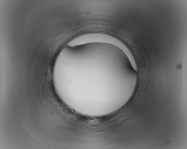 X0000112870411200909181829