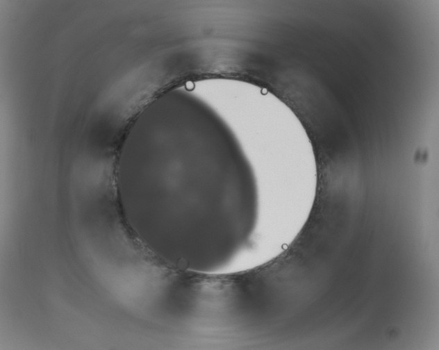 X0000112870415200909181829