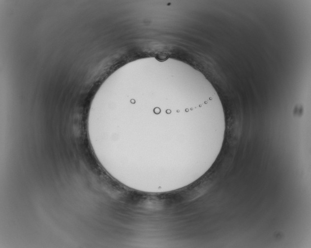 X0000112870416200909181829