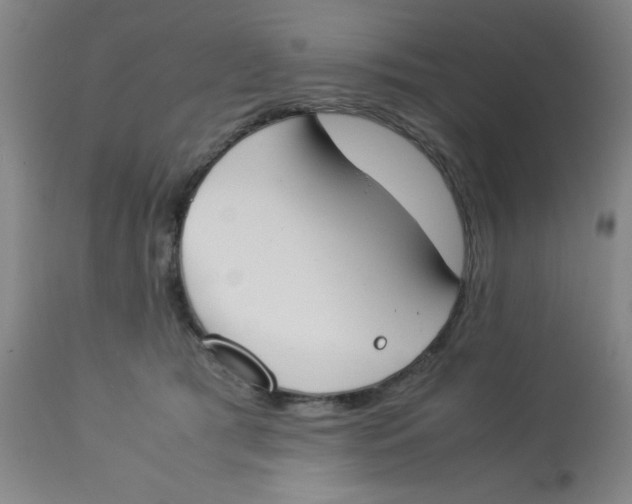 X0000112870417200909181829