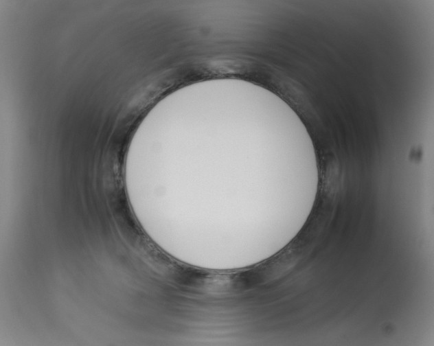 X0000112870418200909181829