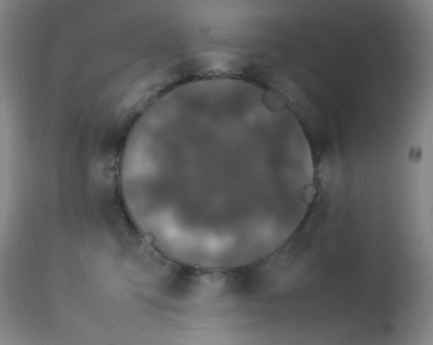 X0000112870423200909181829