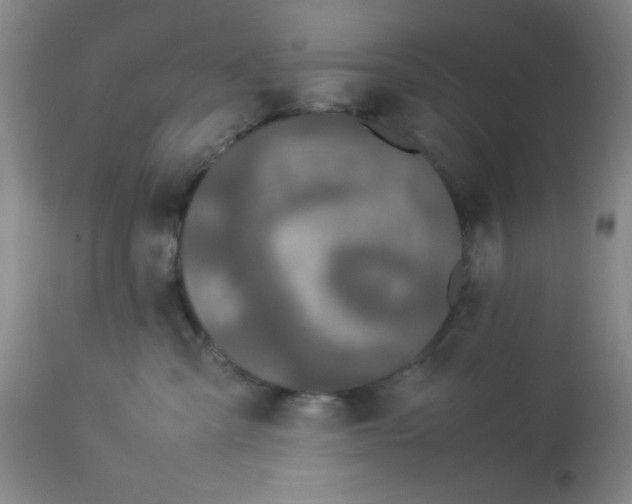 X0000112870427200909181829