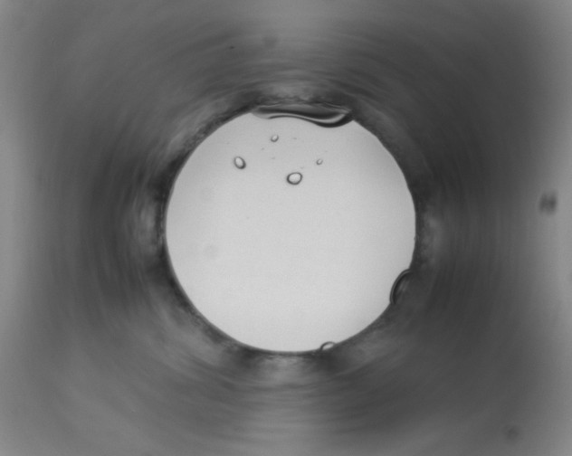 X0000112870428200909181829