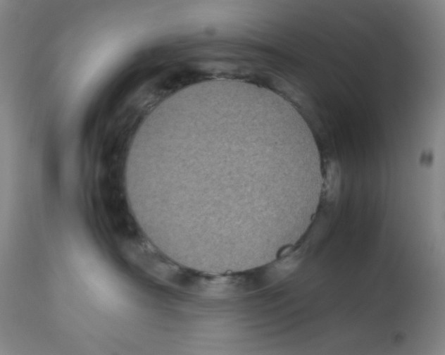 X0000112870430200909181829