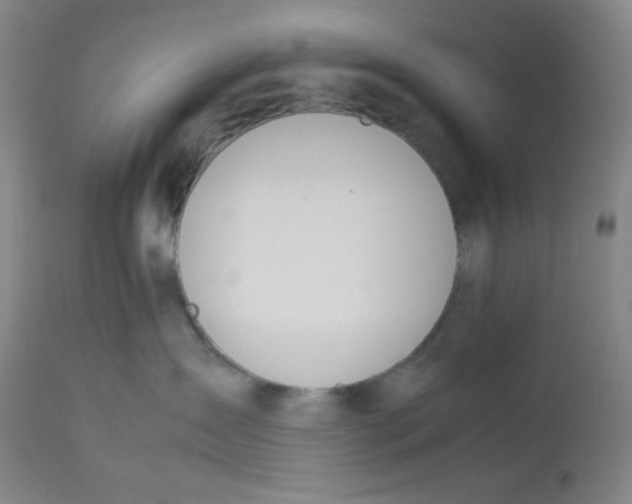 X0000112870431200909181829