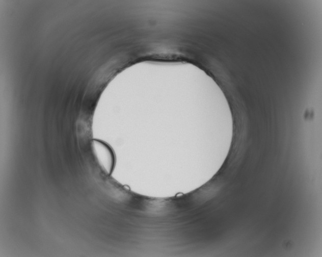 X0000112870432200909181829