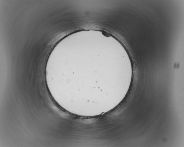 X0000112870433200909181828