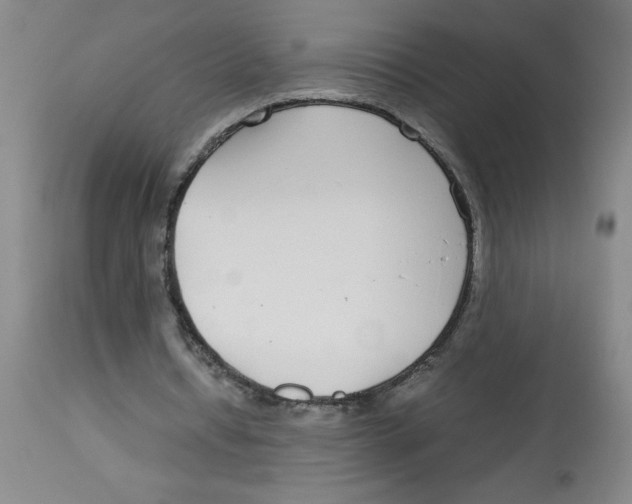 X0000112870434200909181828