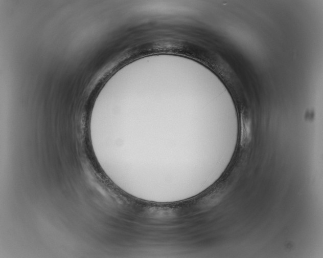 X0000112870435200909181828