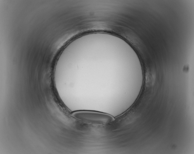 X0000112870436200909181828