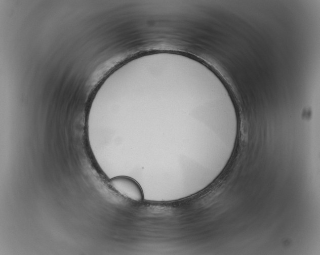 X0000112870437200909181828