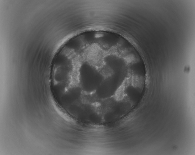 X0000112870438200909181828