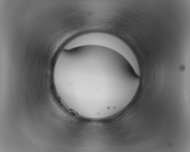 X0000112870444200909181828