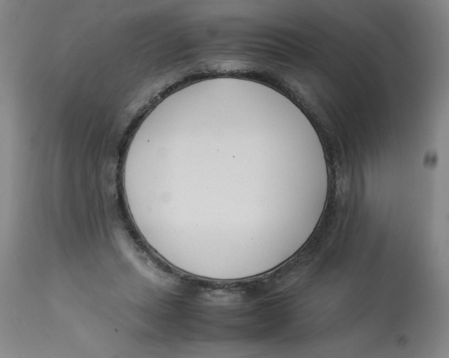 X0000112870447200909181828