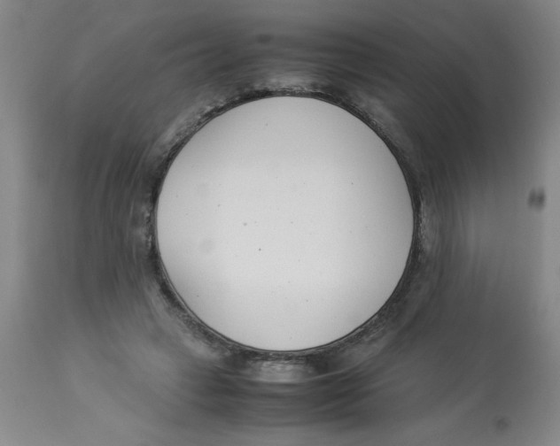 X0000112870449200909181828