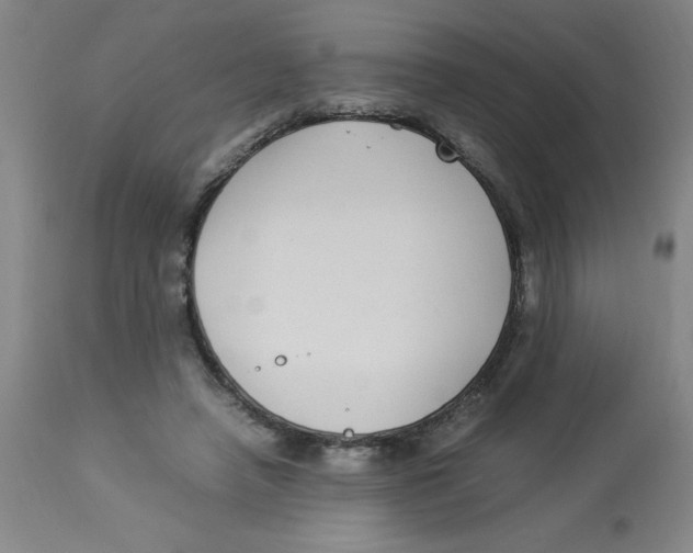 X0000112870450200909181828