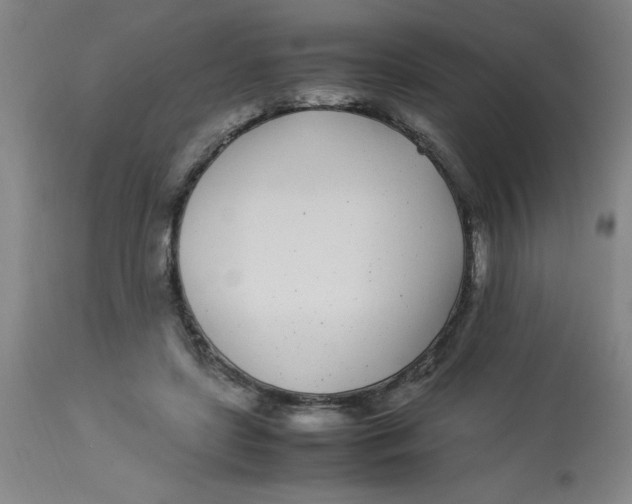 X0000112870451200909181828