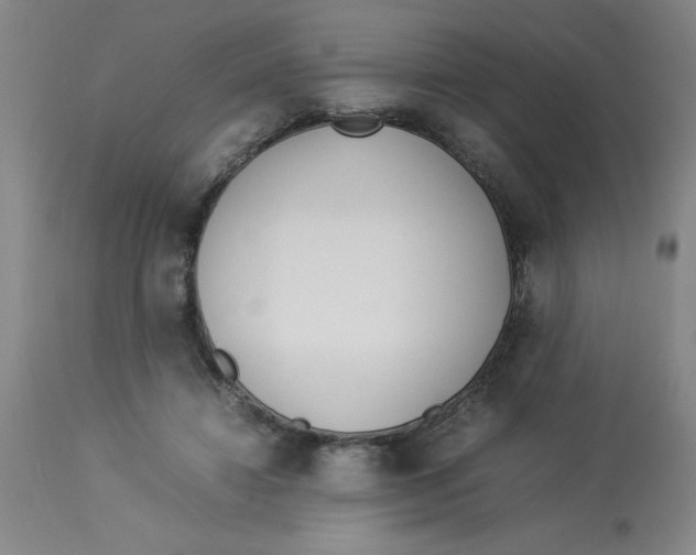 X0000112870452200909181828