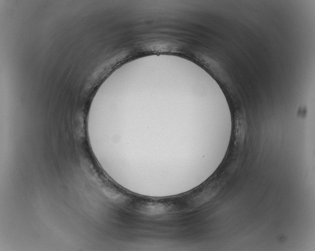 X0000112870453200909181828