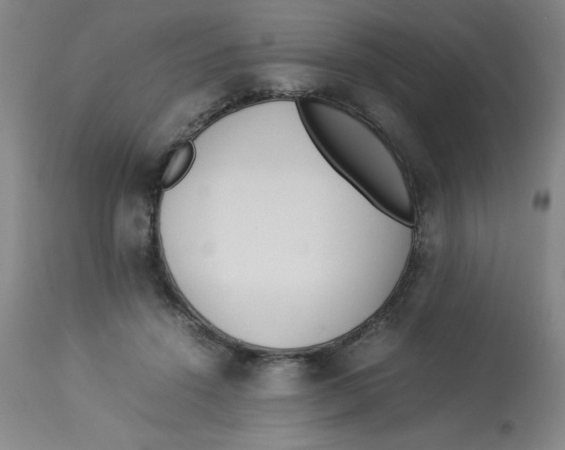 X0000112870456200909181828