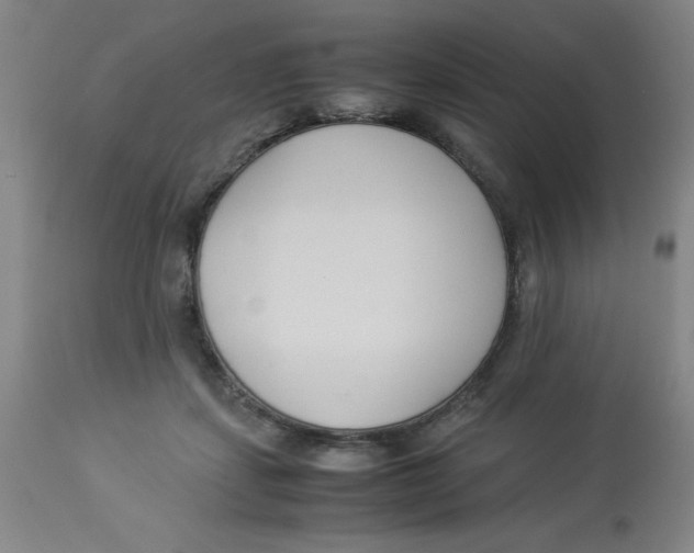 X0000112870459200909181828