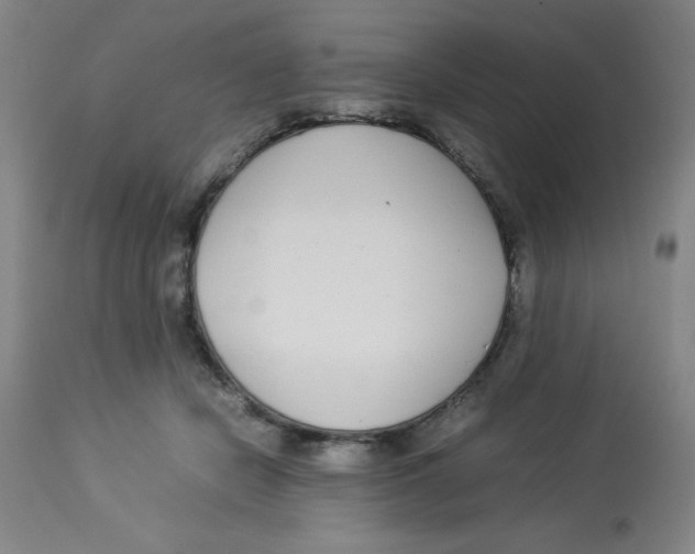 X0000112870462200909181828