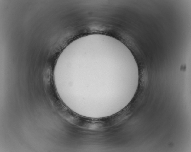 X0000112870463200909181828