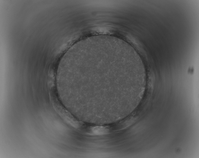 X0000112870465200909181828