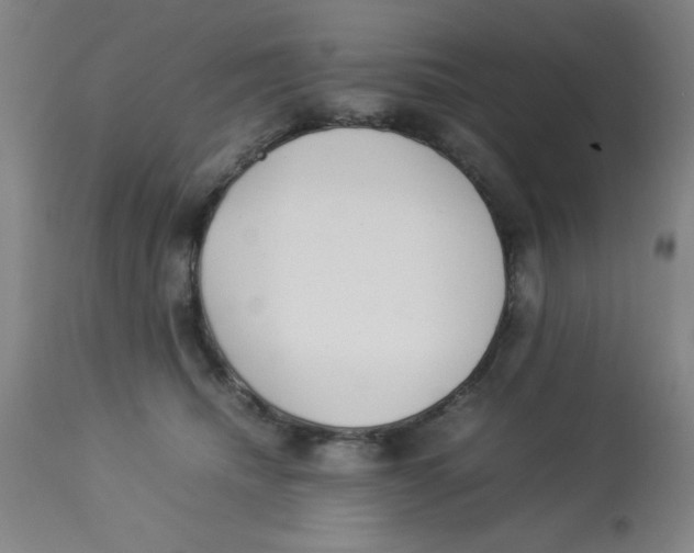 X0000112870468200909181828