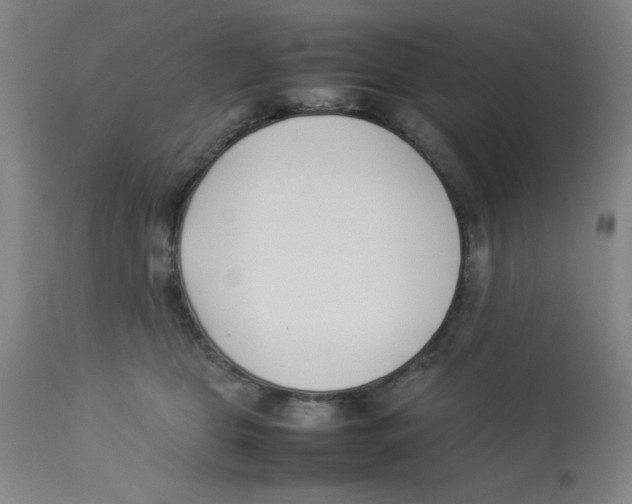 X0000112870469200909181828