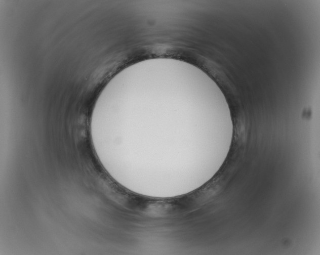 X0000112870470200909181828