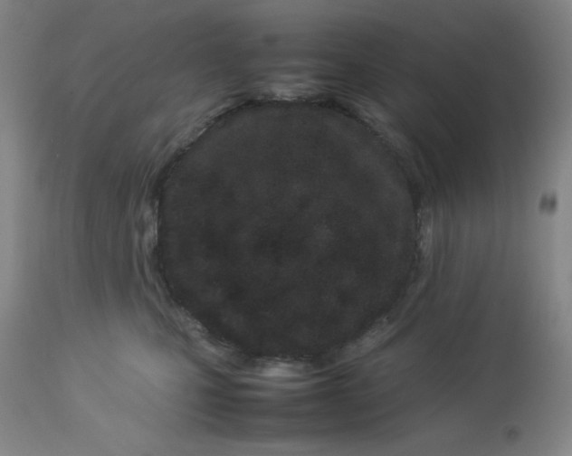 X0000112870471200909181828