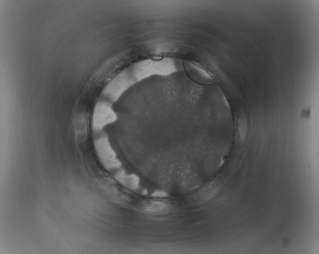 X0000112870475200909181828